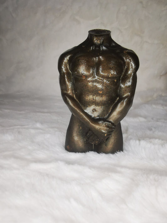 Torse homme