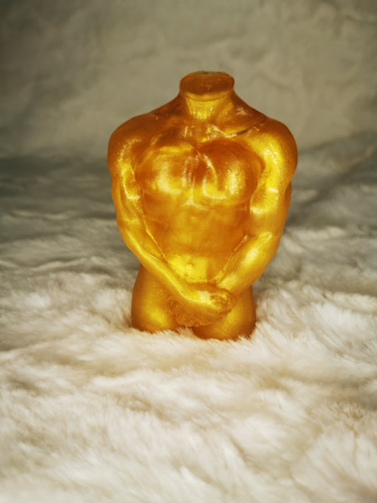 Torse homme led