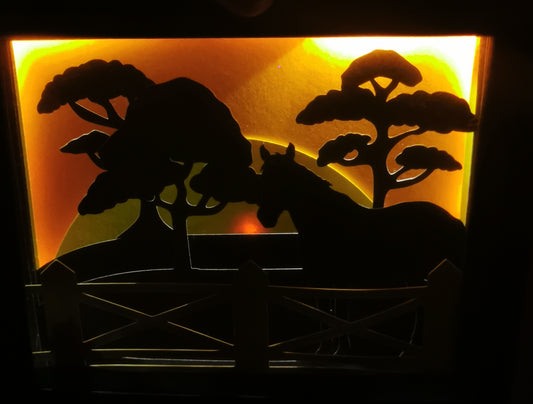 Lightbox cheval